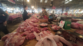 Nonkhor Market Resumes Pork Sales with Strict Veterinary Checks